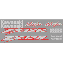 Kawasaki ZX-12 2003