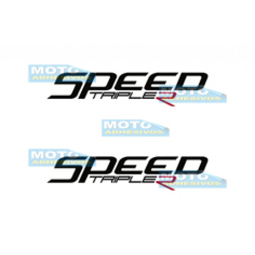 Logo Triumph Speed Triple R